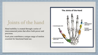 Hand Function Component Hand Function in Occupational Therapy OT | PDF