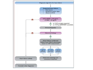 HEART FAILURE management updated guidelines.pptx