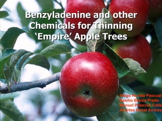 Benzyladenine and other Chemicals for Thinning ‘Empire’ Apple Trees Diego Revilla Pascual Basilio Berisa Prado Manuel Palacios Calleja Andrtes Bozal Andres 