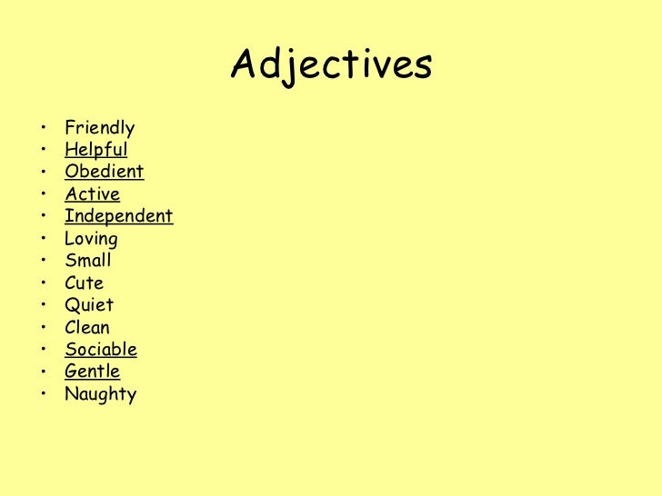 adjectives for dogs esl teaching pets adjectives for dogs esl teaching pets
