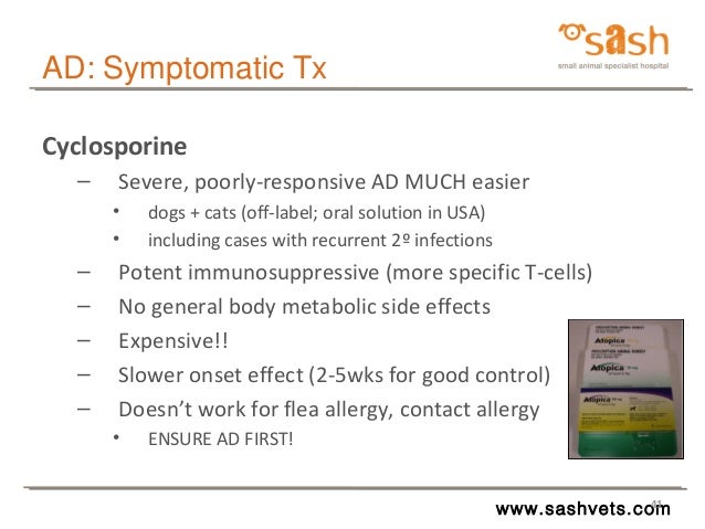 Cyclosporine For Cats Side Effects