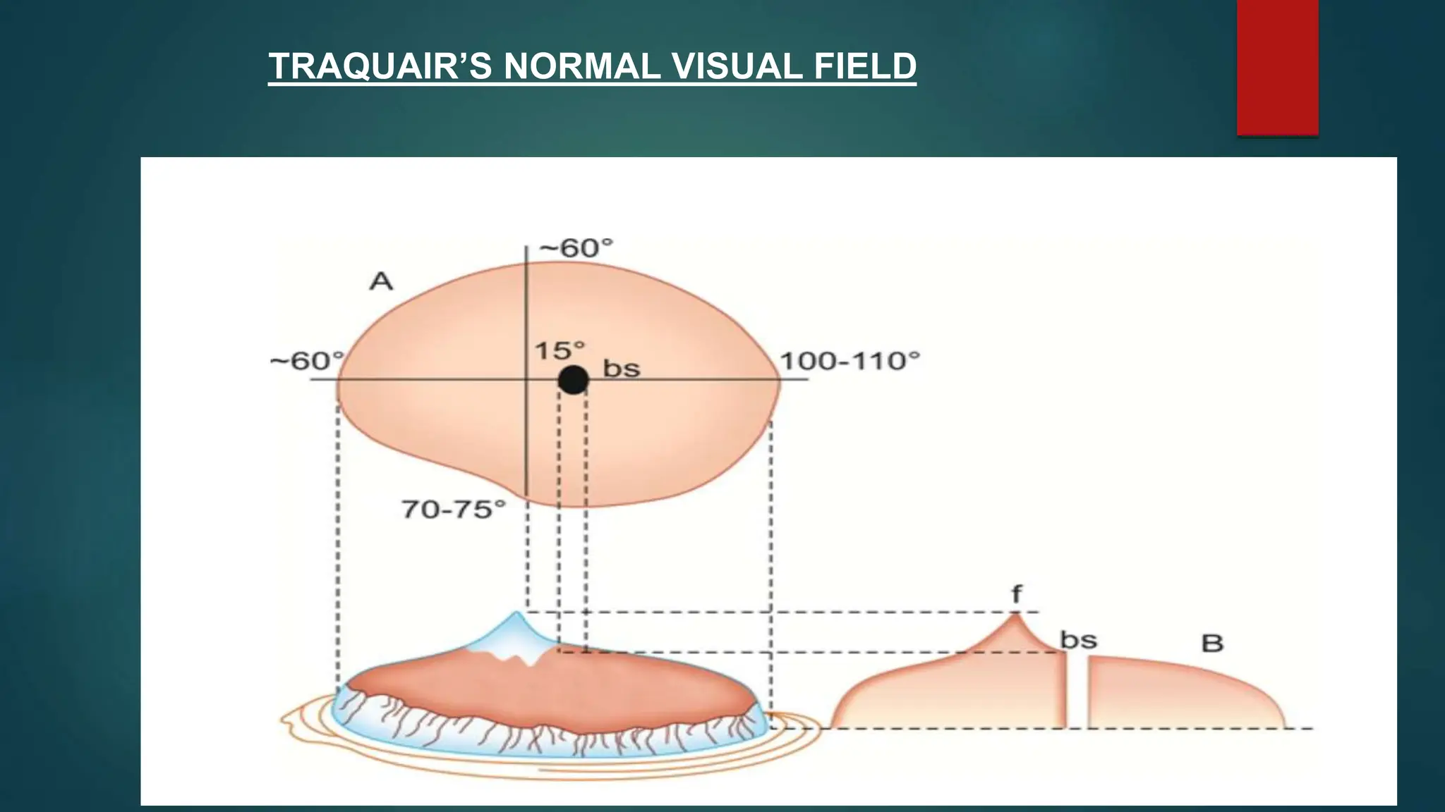 TRAQUAIR’S NORMAL VISUAL FIELD
 