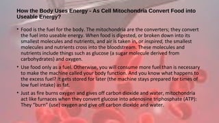 How the Body Uses Energy - As Cell Mitochondria Convert Food into
Useable Energy?
• Food is the fuel for the body. The mitochondria are the converters; they convert
the fuel into useable energy. When food is digested, or broken down into its
smallest molecules and nutrients, and air is taken in, or inspired, the smallest
molecules and nutrients cross into the bloodstream. These molecules and
nutrients include things such as glucose (a sugar molecule derived from
carbohydrates) and oxygen.
• Use food only as a fuel. Otherwise, you will consume more fuel than is necessary
to make the machine called your body function. And you know what happens to
the excess fuel? It gets stored for later (the machine stays prepared for times of
low fuel intake) as fat.
• Just as fire burns oxygen and gives off carbon dioxide and water, mitochondria
act like furnaces when they convert glucose into adenosine triphosphate (ATP):
They “burn” (use) oxygen and give off carbon dioxide and water.
 