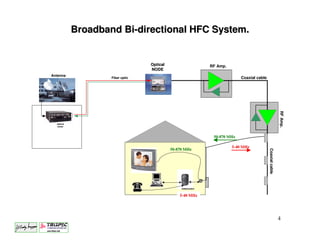 Hfc l alignment and system maintenance | PPT