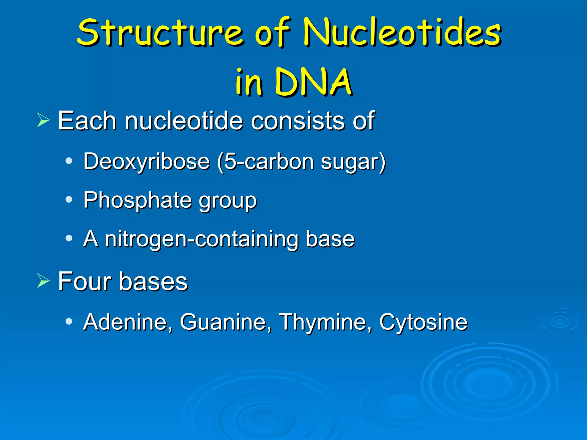 dna rna structure 1 | PPT