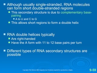 dna rna structure 1 | PPT