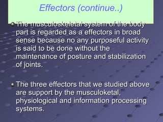 Effectors (continue..) The musculoskeletal system of the body part is regarded as a effectors in broad sense because no any purposeful activity is said to be done without the maintenance of posture and stabilization of joints. The three effectors that we studied above are support by the musculoketal, physiological and information processing systems. 