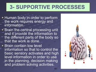 3- SUPPORTIVE PROCESSES  Human body in order to perform the work requires energy and information.  Brain the central processing unit and it provide the information to the different parts of the body so that the work is done.  Brain contain low level information so that to control the basic sensory activates and high level information in order to use in the planning, decision making and problem solving activities.  