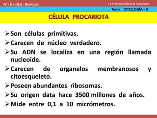 Son células primitivas.
Carecen de núcleo verdadero.
Su ADN se localiza en una región llamada
nucleoide.
Carecen de organelos membranosos y
citoesqueleto.
Poseen abundantes ribosomas.
Su origen data hace 3500 millones de años.
Mide entre 0,1 a 10 micrómetros.
IV - Unidad : Biología
Tema: CITOLOGÍA - II
I.E.P «Nuestra Señora de Guadalupe»
 
