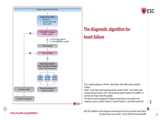 HF Guidlines - diagnosis and managment.pptx