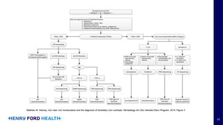 Comprehensive Overview of Iron Homeostasis Disorders and Management | PPTX