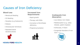 Comprehensive Overview of Iron Homeostasis Disorders and Management | PPTX