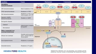 Comprehensive Overview of Iron Homeostasis Disorders and Management | PPTX