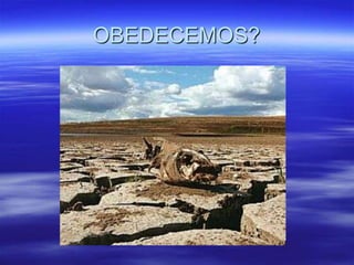 OBEDECEMOS?
 