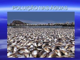 POLUIÇÃO NAS ÁGUAS
 