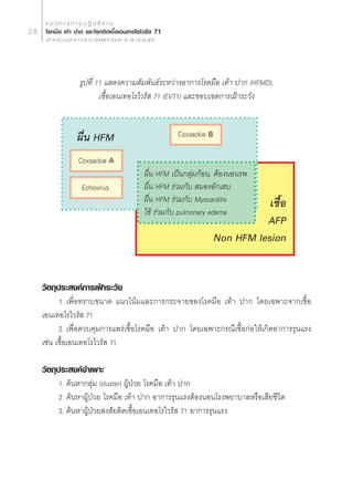 · π « ∑ “ ß ° “ √ ª Ø‘ ∫— µ‘ ß “ π
38    ‚√§¡◊Õ ‡∑â“ ª“° ·≈–‚√§µ‘¥‡™◊ÈÕ‡Õπ‡∑Õ‚√‰«√—  71
        ” À √— ∫ ∫ÿ § ≈ “ ° √ ° “ √ · æ ∑ ¬å · ≈ –   “ ∏ “ √ ≥  ÿ ¢




                        √Ÿª∑’Ë 11 · ¥ß§«“¡ —¡æ—π∏å√–À«à“ßÕ“°“√‚√§¡◊Õ ‡∑â“ ª“° (HFMD),
                                ‡™◊ÈÕ‡Õπ‡∑Õ‚√‰«√—  71 (EV71) ·≈–¢Õ∫‡¢µ°“√‡ΩÑ“√–«—ß


                       º◊Ëπ HFM                                         Coxsackie B

                        Coxsackie A
                                                             º◊Ëπ HFM ‡ªìπ°≈àÿ¡°âÕπ, µâÕßπÕπ√æ.
                          Echovirus                          º◊Ëπ HFM √à«¡°—∫  ¡ÕßÕ—°‡ ∫
                                                             º◊Ëπ HFM √à«¡°—∫ Myocarditis        ‡™◊ÈÕ
                                                             ‰¢â √à«¡°—∫ pulmonary edema
                                                                                                AFP
                                                                                      Non HFM lesion


     «—µ∂ÿª√– ß§å°“√‡ΩÑ“√–«—ß
           1. ‡æ◊ËÕ∑√“∫¢π“¥ ·π«‚πâ¡·≈–°“√°√–®“¬¢Õß‚√§¡◊Õ ‡∑â“ ª“° ‚¥¬‡©æ“–®“°‡™◊ÈÕ
     ‡Õπ‡∑Õ‚√‰«√—  71
           2. ‡æ◊ËÕ§«∫§ÿ¡°“√·æ√à‡™◊ÈÕ‚√§¡◊Õ ‡∑â“ ª“° ‚¥¬‡©æ“–°√≥’‡™◊ÈÕ°àÕ„Àâ‡°‘¥Õ“°“√√ÿπ·√ß
     ‡™àπ ‡™◊ÈÕ‡Õπ‡∑Õ‚√‰«√—  71

     «—µ∂ÿª√– ß§å®”‡æ“–
             1. §âπÀ“°≈ÿà¡ (cluster) ºŸâªÉ«¬ ‚√§¡◊Õ ‡∑â“ ª“°
             2. §âπÀ“ºŸâªÉ«¬ ‚√§¡◊Õ ‡∑â“ ª“° Õ“°“√√ÿπ·√ßµâÕßπÕπ‚√ßæ¬“∫“≈À√◊Õ‡ ’¬™’«‘µ
             3. §âπÀ“ºŸâªÉ«¬ ß —¬µ‘¥‡™◊ÈÕ‡Õπ‡∑Õ‚√‰«√—  71 Õ“°“√√ÿπ·√ß
 