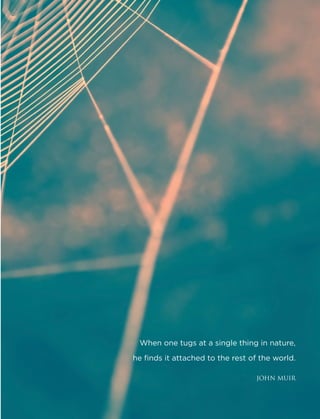 When one tugs at a single thing in nature,
he finds it attached to the rest of the world.
	 JOHN MUIR
 