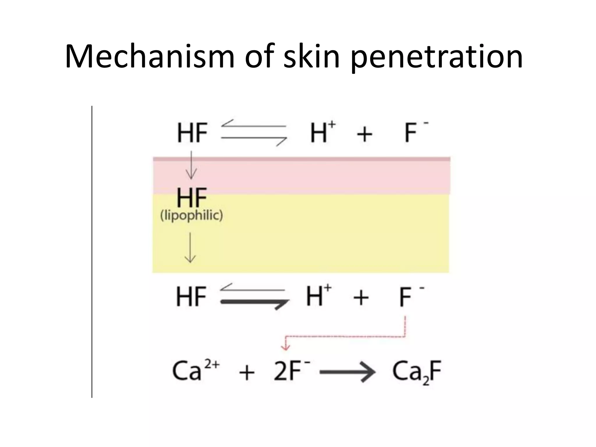 Mechanism of skin penetration
 
