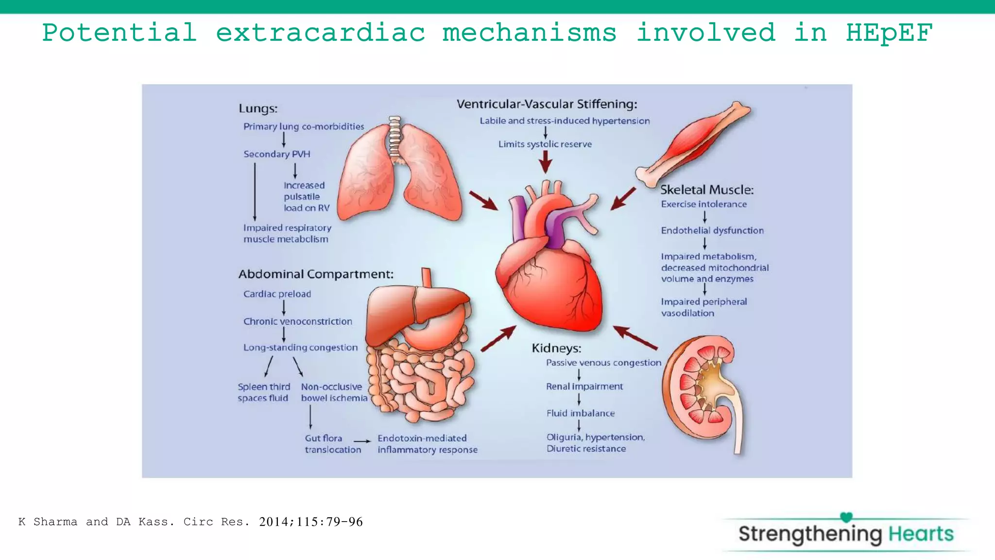HeART FAILURE Hfpef | PPTX