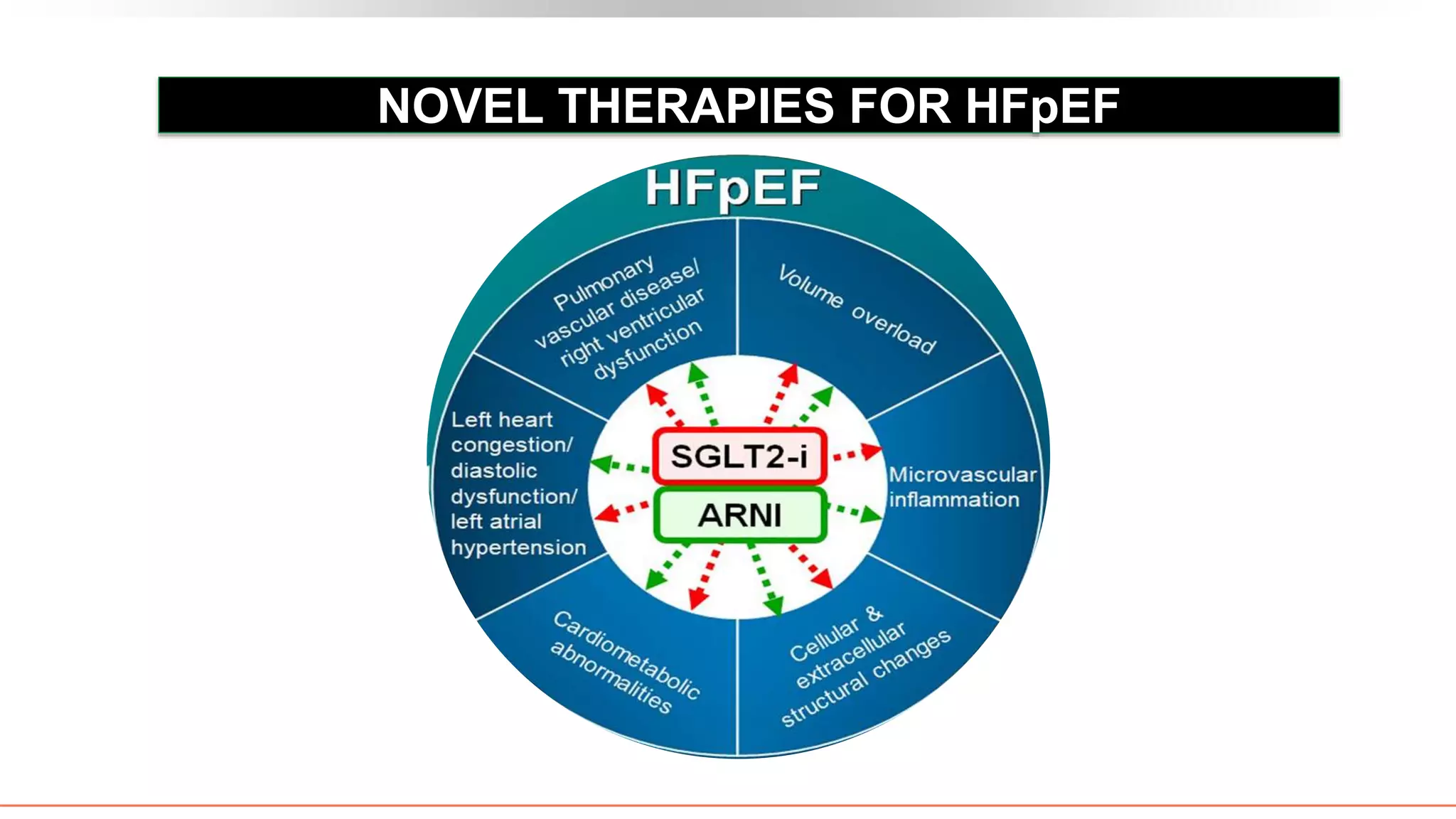 NOVEL THERAPIES FOR HFpEF
 