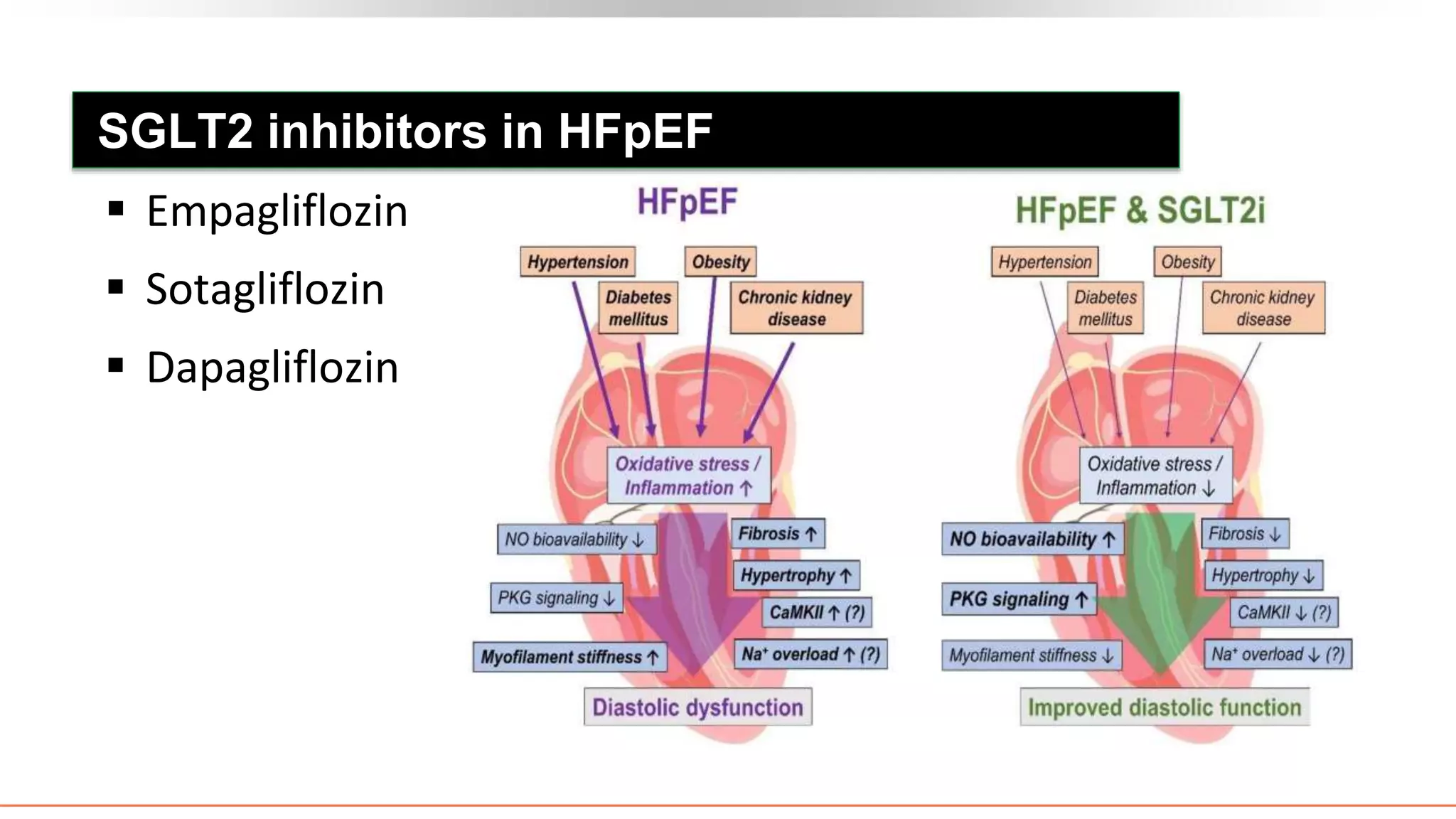 SGLT2 inhibitors in HFpEF
 Empagliflozin
 Sotagliflozin
 Dapagliflozin
 