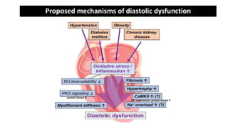Proposed mechanisms of diastolic dysfunction
protein kinase G
Ca2+/calmodulin-protein kinase II
 