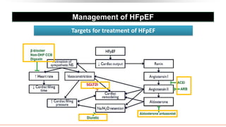 Management of HFpEF
SGLT2I
Targets for treatment of HFpEF
 
