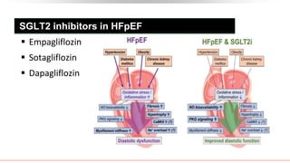 SGLT2 inhibitors in HFpEF
 Empagliflozin
 Sotagliflozin
 Dapagliflozin
 