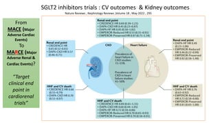 SGLT2 inhibitors trials : CV outcomes & Kidney outcomes
Nature Reviews , Nephrology Reviews ,Volume 18 , May 2022 , 295
From
MACE (Major
Adverse Cardiac
Events)
To
MARCE (Major
Adverse Renal &
Cardiac Events)?
“Target
clinical end
point in
cardiorenal
trials”
 
