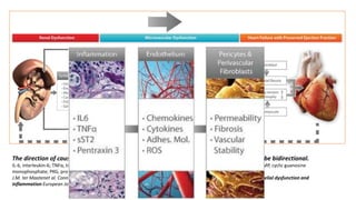 Proposed relationship between renal dysfunction and HFpEF.
The direction of causality may prove to be in the opposite direction and most probably will be bidirectional.
IL-6, interleukin-6; TNFα, tumour necrosis factor-α; sST2, soluble ST2; ROS, reactive oxygen species; NO, nitric oxide; cGMP, cyclic guanosine
monophosphate; PKG, protein kinase G; TGFβ, transforming growth factor-β.
J.M. ter Maatenet al. Connecting heart failure with preserved ejection fraction and renal dysfunction: the role of endothelial dysfunction and
inflammation European Journal of Heart Failure (2016)18, 588–598
 