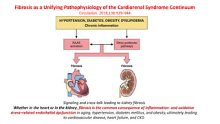 Signaling and cross-talk leading to kidney fibrosis
Whether in the heart or in the kidney, fibrosis is the common consequence of inflammation- and oxidative
stress–related endothelial dysfunction in aging, hypertension, diabetes mellitus, and obesity, ultimately leading
to cardiovascular disease, heart failure, and CKD
Fibrosis as a Unifying Pathophysiology of the Cardiorenal Syndrome Continuum
Circulation. 2018;138:929–944
 