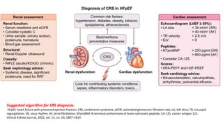 Suggested algorithm for CRS diagnosis.
HFpEF, heart failure with preserved ejection fraction; CRS, cardiorenal syndrome; eGFR, estimated glomerular filtration rate; LA, left atria; TR, tricuspid
regurgitation; SR, sinus rhythm; AF, atrial fibrillation; NTproBNP, N-terminal prohormone of brain natriuretic peptide; CA-125, cancer antigen 125.
Clinical Kidney Journal, 2022, vol. 15, no. 10, 1807–1815
 