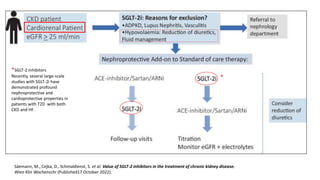 Säemann, M., Cejka, D., Schmaldienst, S. et al. Value of SGLT-2 inhibitors in the treatment of chronic kidney disease.
Wien Klin Wochenschr (Published17 October 2022).
*SGLT-2 inhibitors
Recently, several large-scale
studies with SGLT-2i have
demonstrated profound
nephroprotective and
cardioprotective properties in
patients with T2D with both
CKD and HF.
*
 