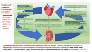 Bidirectional mechanisms in cardiorenal axis pathophysiology. CRS presents a common pathogenesis characterized by
hemodynamic, neurohormonal, inflammatory mechanisms also involving the atherosclerotic degeneration. RAAS system plays a
major role in CRS pathophysiology, tipping the scale in the delicate balance between heart and kidney. Biomolecules 2021, 11, 1581
Cardiorenal
Syndrome :
one disease –
two paths?
Organ-Crosstalk:
The crosstalk
between the
heart and the
kidney is clearly
evidenced but
not fully
understood.
 
