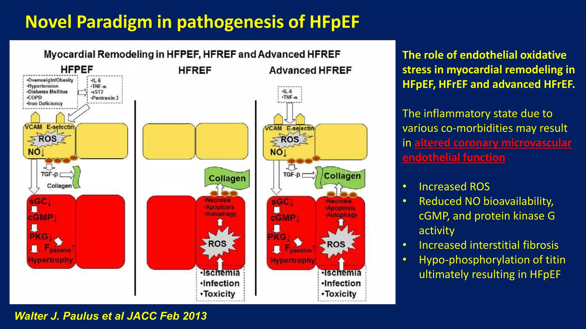 Heart Failure with Preserved Ejection Fraction By DR. Vaibhav Yawalkar ...