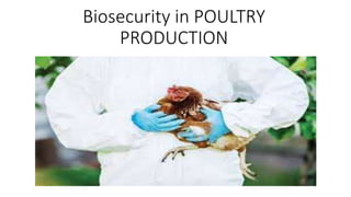 Biosecurity in POULTRY
PRODUCTION
 
