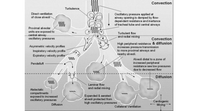 HIGH FREQUENCY VENTILATION - NEONATES diagram of tidal volume 