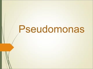 Pseudomonas
 