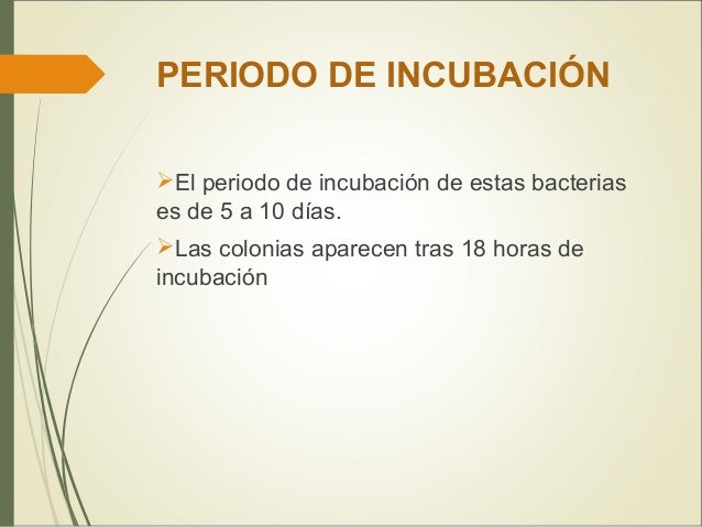 Bacteriologia