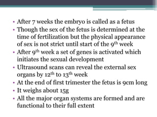 • After 7 weeks the embryo is called as a fetus 
• Though the sex of the fetus is determined at the 
time of fertilization but the physical appearance 
of sex is not strict until start of the 9th week 
• After 9th week a set of genes is activated which 
initiates the sexual development 
• Ultrasound scans can reveal the external sex 
organs by 12th to 13th week 
• At the end of first trimester the fetus is 9cm long 
• It weighs about 15g 
• All the major organ systems are formed and are 
functional to their full extent 
 