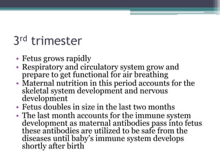3rd trimester 
• Fetus grows rapidly 
• Respiratory and circulatory system grow and 
prepare to get functional for air breathing 
• Maternal nutrition in this period accounts for the 
skeletal system development and nervous 
development 
• Fetus doubles in size in the last two months 
• The last month accounts for the immune system 
development as maternal antibodies pass into fetus 
these antibodies are utilized to be safe from the 
diseases until baby’s immune system develops 
shortly after birth 
 