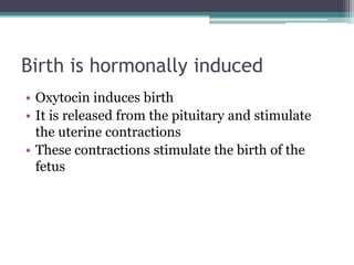 Birth is hormonally induced 
• Oxytocin induces birth 
• It is released from the pituitary and stimulate 
the uterine contractions 
• These contractions stimulate the birth of the 
fetus 
 