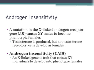Androgen Insensitivity 
• A mutation in the X-linked androgen receptor 
gene (AR) causes XY males to become 
phenotypic females 
▫ Testosterone is produced, but not testosterone 
receptors; cells develop as females 
• Androgen insensitivity (CAIS) 
▫ An X-linked genetic trait that causes XY 
individuals to develop into phenotypic females 
 