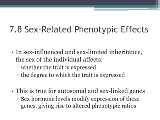 7.8 Sex-Related Phenotypic Effects 
• In sex-influenced and sex-limited inheritance, 
the sex of the individual affects: 
▫ whether the trait is expressed 
▫ the degree to which the trait is expressed 
• This is true for autosomal and sex-linked genes 
▫ Sex hormone levels modify expression of these 
genes, giving rise to altered phenotypic ratios 
 