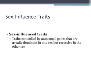 Sex-Influence Traits 
• Sex-influenced traits 
▫ Traits controlled by autosomal genes that are 
usually dominant in one sex but recessive in the 
other sex 
 