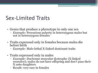 Sex-Limited Traits 
• Genes that produce a phenotype in only one sex 
▫ Example: Precocious puberty in heterozygous males but 
not in heterozygous females 
• Traits expressed only in females because males die 
before birth 
▫ Example: Male-lethal X-linked dominant traits 
• Traits expressed only in males 
▫ Example: Duchenne muscular dystrophy (X-linked 
recessive); males do not have offspring and don’t pass their 
X onto daughters 
▫ Result: very rare in females 
 
