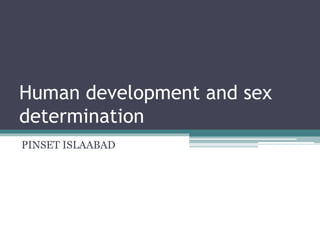 Human development and sex 
determination 
PINSET ISLAABAD 
 