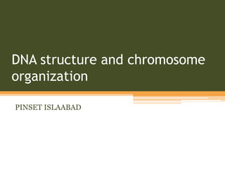 DNA structure and chromosome 
organization 
PINSET ISLAABAD 
 
