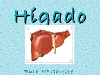Hígado Ruth Mª Garrote Gordon 