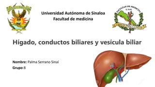 Nombre: Palma Serrano Sinaí
Grupo:8
Hígado, conductos biliares y vesícula biliar
Universidad Autónoma de Sinaloa
Facultad de medicina
 